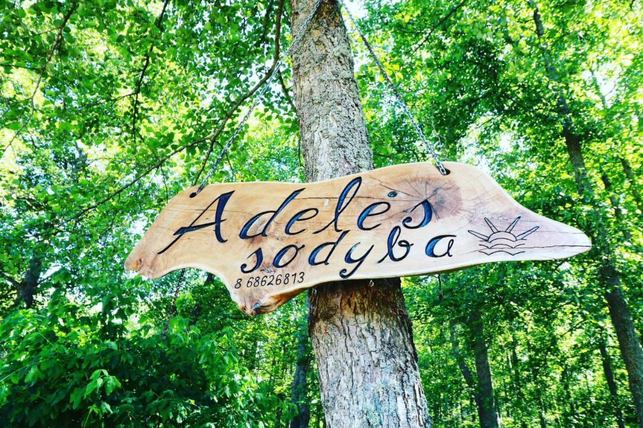 Namelis Nr 2 Adeles Sodyba Muize Exteriér fotografie