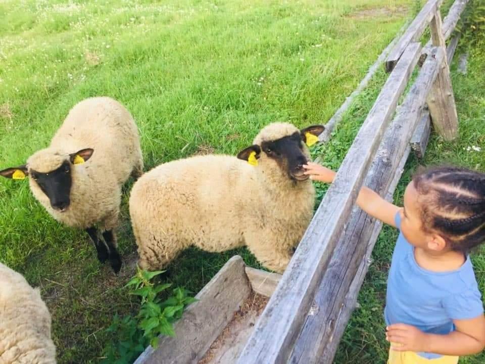 Namelis Nr 2 Adeles Sodyba Muize Exteriér fotografie
